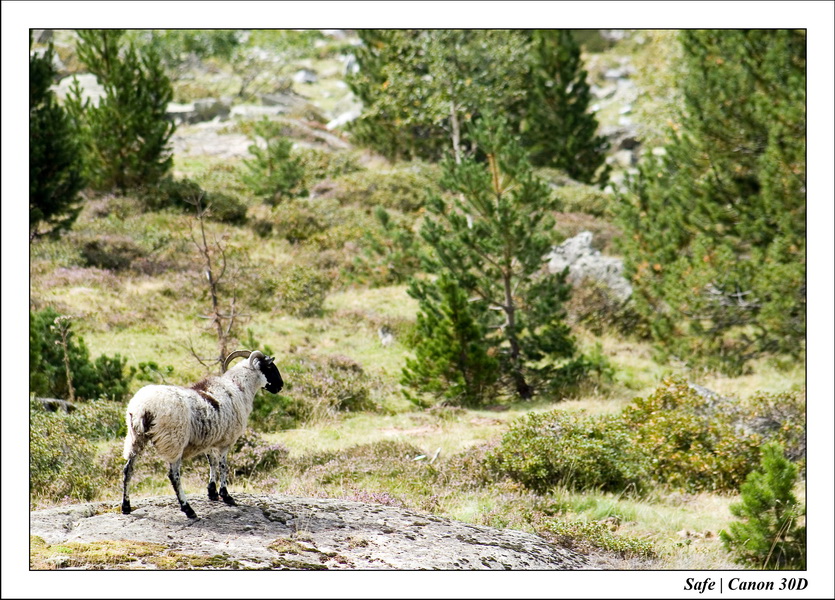 Sept 06 Tarbes - Ballade gaubie 30